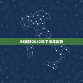 95属猪2022年下半年运势，1995年属猪人2021年运势