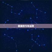 属猪的今年运势，十二生肖与人生运势