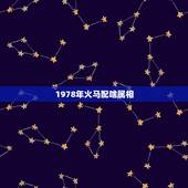 1978年火马配啥属相，1979火羊和1978火马合不合