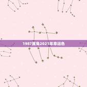 1987属兔2021年幸运色，属兔2021年幸运颜色