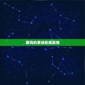 属狗的更佳配偶属相，生肖狗女最怕出生几月