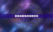 属兔和属兔的结婚好吗，属兔的和属什么的结婚最合适