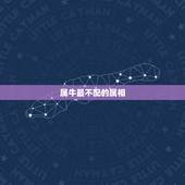 属牛最不配的属相，属牛男与十二生肖婚配