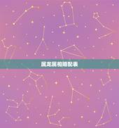 属龙属相婚配表，男性生肖属龙的属相婚配表，男人属龙和什么属相最配