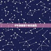 子午卯酉哪个桃花最旺，酉金桃花的特点