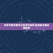 女孩子缺木取什么名字比较好 起名缺木最吉祥的字