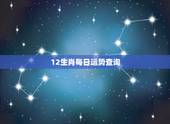 12生肖每日运势查询 ，12生肖2022 年运势详解