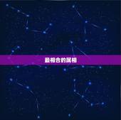 最相合的属相，属和什么属相最配