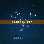 低头看我是怎么c哭你的，有首歌高潮后面一点有句歌词是 什么什么你看着我