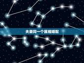 夫妻同一个属相婚配，属相婚配