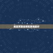 属鼠男最佳婚配属相最好，属鼠男性适合的婚配属相
