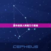 属牛的贵人有哪几个属相，属牛的人命苦吗