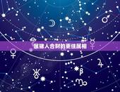 属猪人合财的更佳属相，属猪的人和什么属相最合