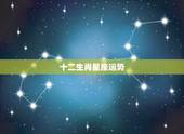 十二生肖星座运势，十二生肖星座每日运势