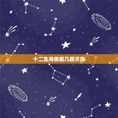 十二生肖佩戴几眼天珠，虎牙天珠佩戴禁忌与属相