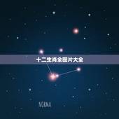 十二生肖全图片大全 十二生肖记忆口诀