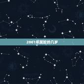 2001年属蛇的几岁，1976年属龙的今年多少岁
