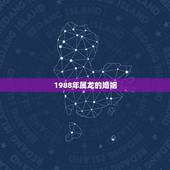 1988年属龙的婚姻，88年属龙的婚姻