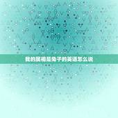 我的属相是兔子的英语怎么说，英语兔怎么说？只要兔，不要兔子