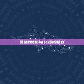属鼠的婚配与什么属相最合，属鼠的和什么属相般配
