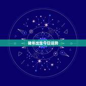 猪年出生今日运势，1983属猪今日横财运亨通
