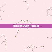 排兵布阵守边防什么属相，排兵布阵代表着十二生肖的那个动物？