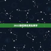 2022微信网名男生两字，2023微信网名男生两字