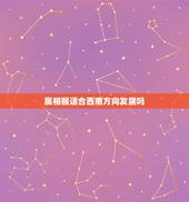 属相猴适合西南方向发展吗，属猴的适合找什么属相的