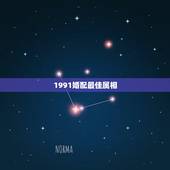 1991婚配最佳属相，1991年的羊和什么属相最配