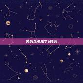养的乌龟死了8预兆，乌龟死了是有什么预兆