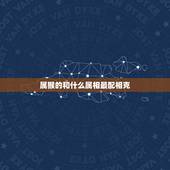 属猴的和什么属相最配相克，属猴的和什么属相最配最合适