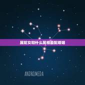属蛇女和什么属相最配婚姻，什么生肖男会娶属蛇女
