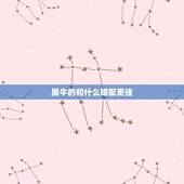属牛的和什么婚配更佳，牛与什么生肖最配