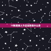 71年属猪人今日运势是什么命，1971年属猪人是什么命