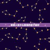 属猪人生什么属相的孩子最好，爸爸属猪的人生什么属相的宝宝好