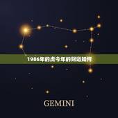 1986年的虎今年的财运如何，1986年属虎的男的今年财运怎么样