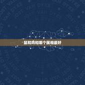 鼠和鸡和哪个属相最好，12生肖属鸡和属鼠怎么样啊
