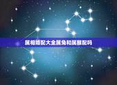 属相婚配大全属兔和属猴配吗，2015年属猴的属相婚配与属兔有缘吗