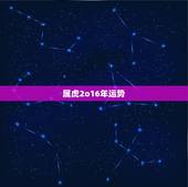 属虎2o16年运势，2022 虎的未来五年