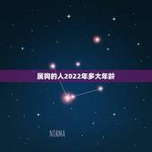 属狗的人2022年多大年龄，狗年生的人今年多大了