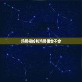 鸡属相的和鸡属相合不合，属鸡的和属蛇的属性合不合