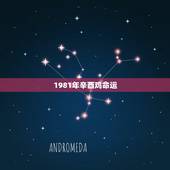 1981年辛酉鸡命运，详解1981年属鸡是什么命