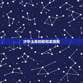 沙中土命的蛇和龙婚配，属龙和属蛇的婚配合吗？