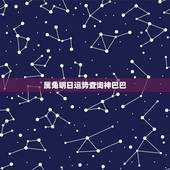 属兔明日运势查询神巴巴，属兔2018年运势及运程