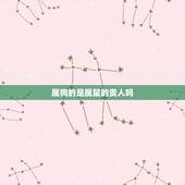 属狗的是属鼠的贵人吗，属狗的人的财运贵人