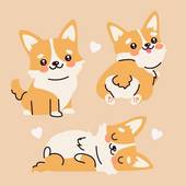 2023年狗运势及运程(狗狗们的未来如何)