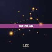 属羊16年运势，2022 年1月16日属狗运势