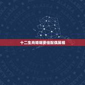 十二生肖婚姻更佳配偶属相，最准确的十二属相婚配表