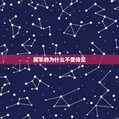 属羊的为什么不受待见，为什么相亲都不找属羊的