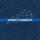 女羊男鸡生个什么属相的孩子好，属鸡和属羊的结婚好吗